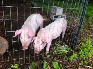 237DFC7A-C9B5-4241-BF6C-2879A3D99204