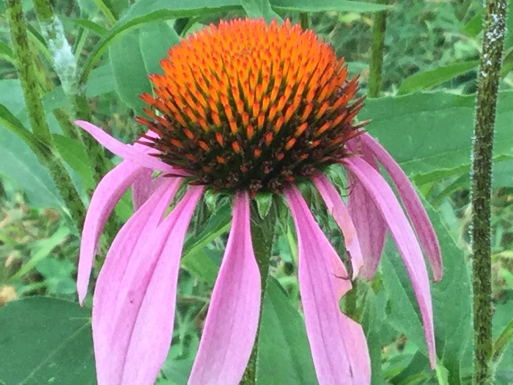 2795DFC6-F1F3-4563-945C-AB03FD6BC2F8