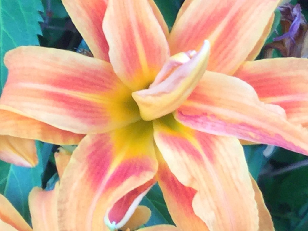 64CFCCDC-C829-41B8-BD16-4A773622DC68