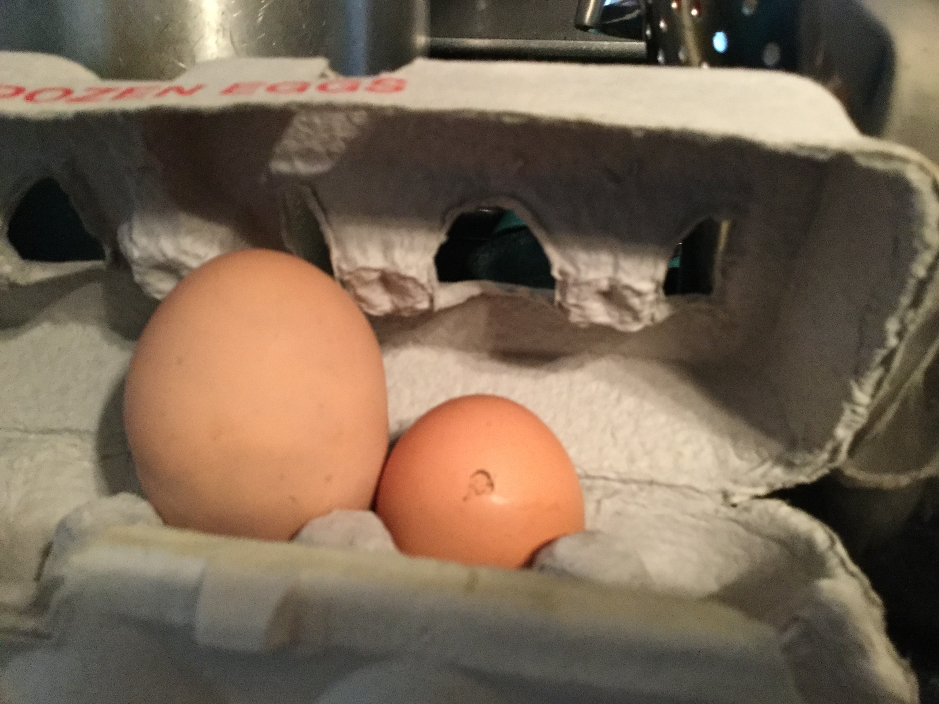 972CE459-2DB6-47DF-A9A1-E8A5E79C6032