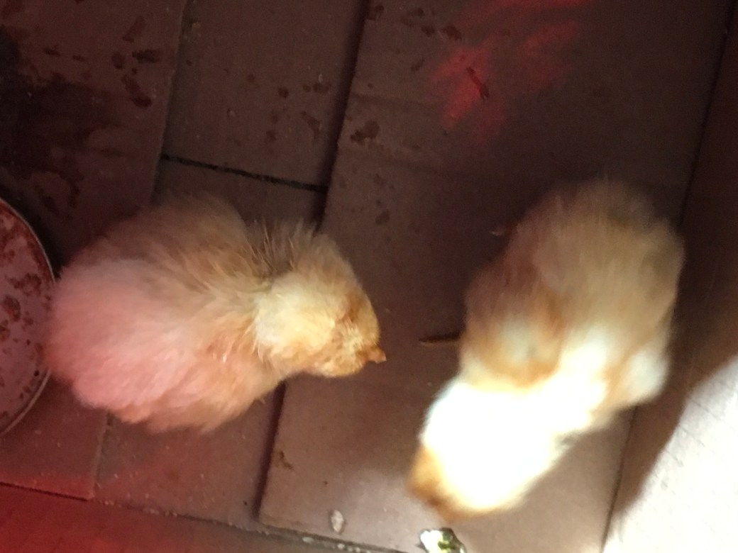 B492D267-B1BE-4789-ACA1-3287F27F9FE6