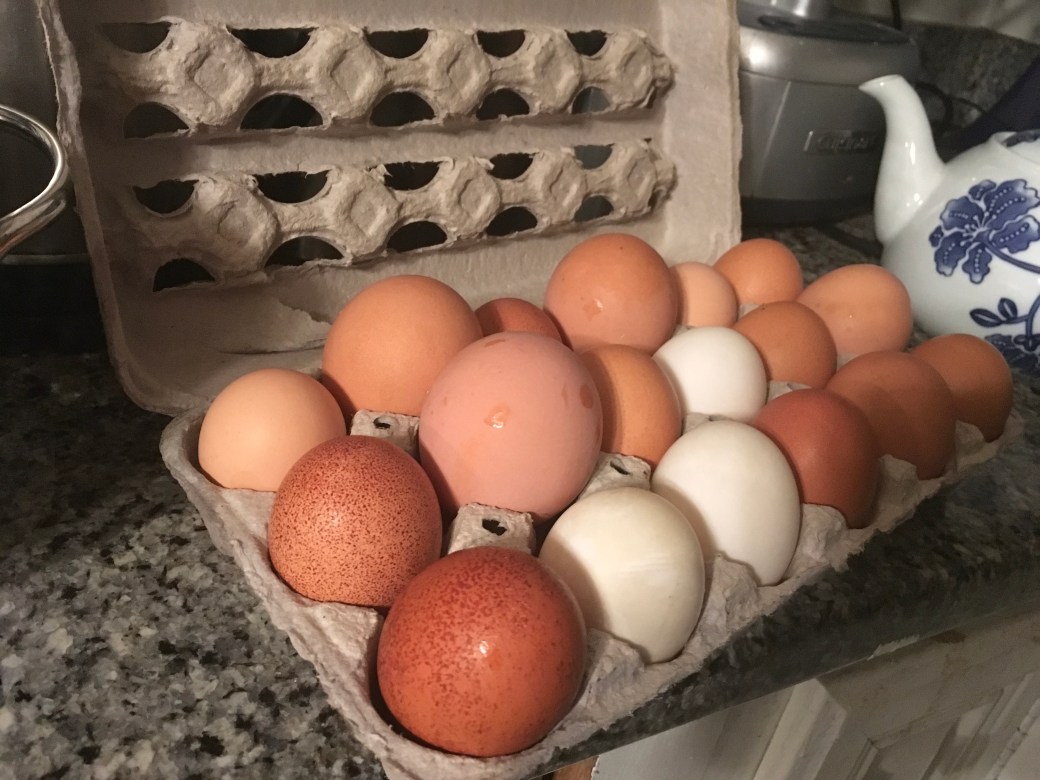 CD341D03-EC24-469E-AA3C-82CA6803FF24