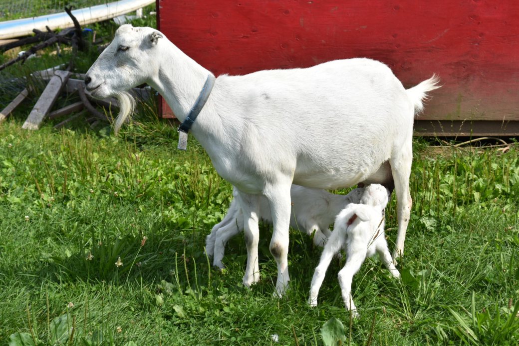 D08A17AA-23F5-4F68-80F9-344A684E21F4