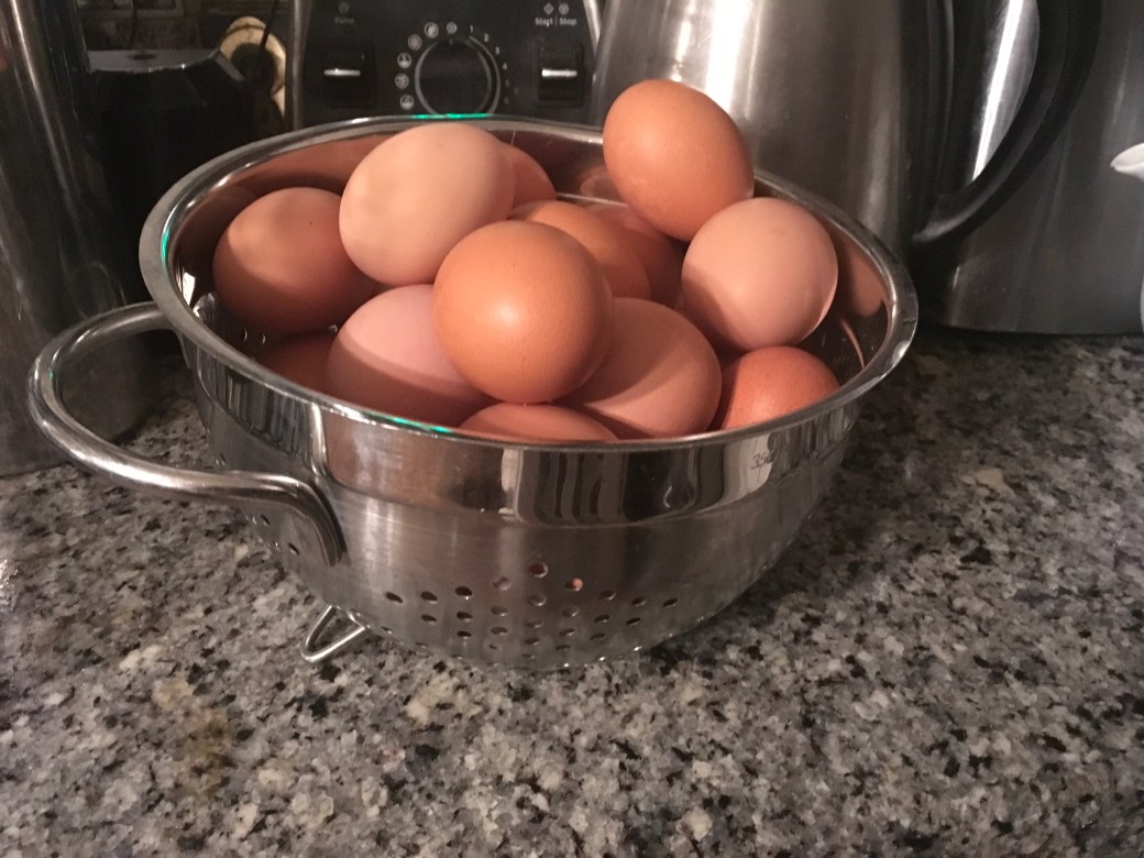 E1F9EA0B-870C-4C97-B174-9F815DE24433