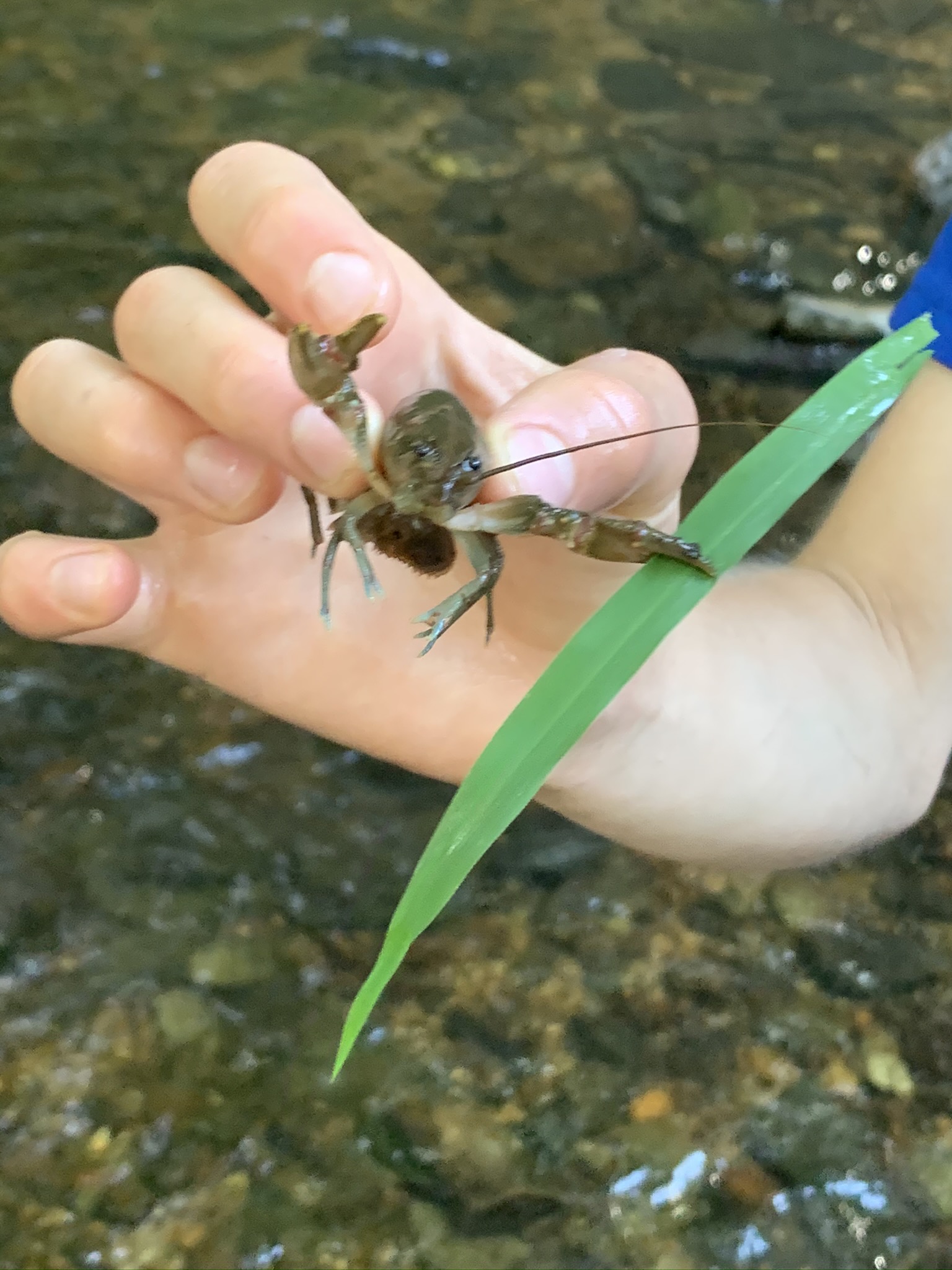 19A39BCB-9DC2-43B1-9891-03515A56B13A