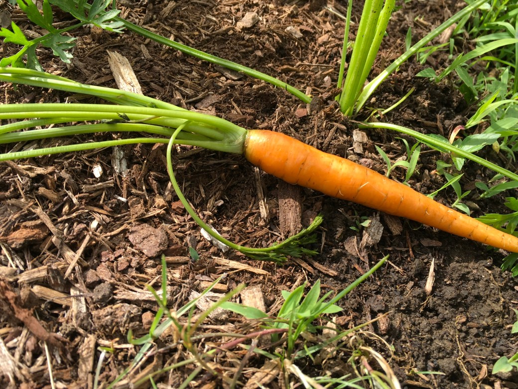 3A0FC0EC-98C3-4016-8DAD-7E2E218E3E26