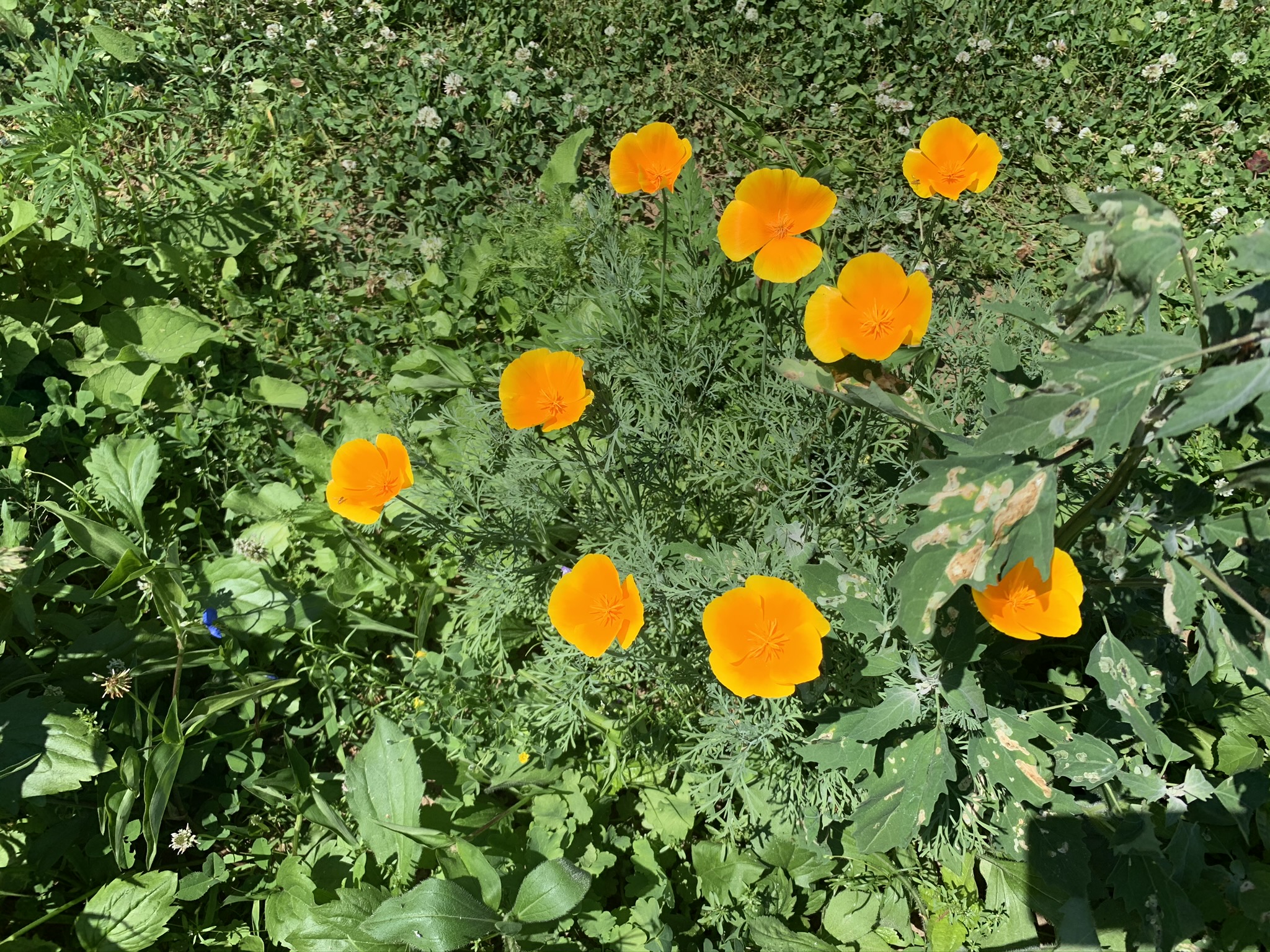 617E0C4B-3E9F-49CF-98C7-CCF0C7AFE77C