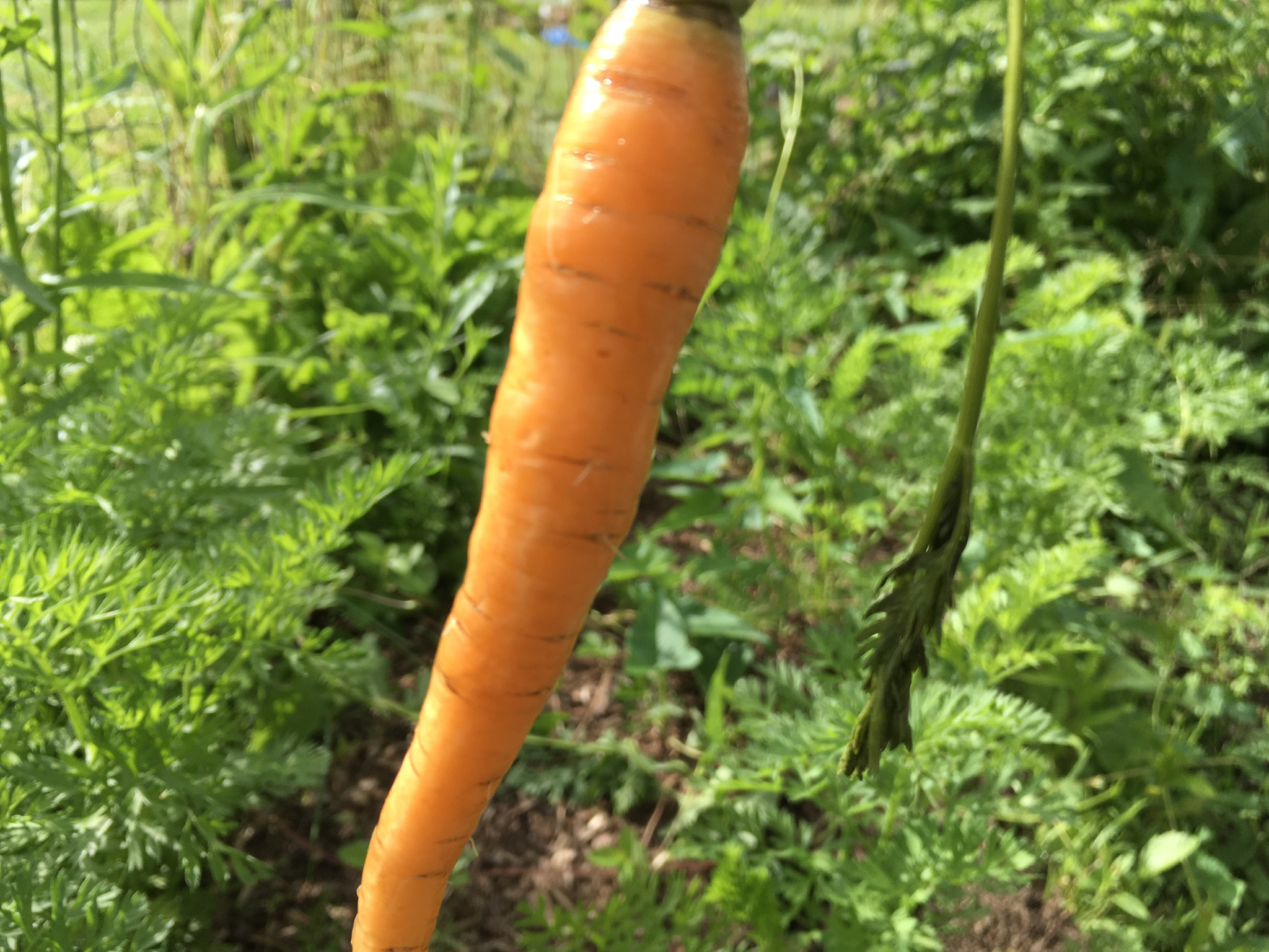 8FCFB87F-A2B4-474D-8BEF-29B82ADD47FF