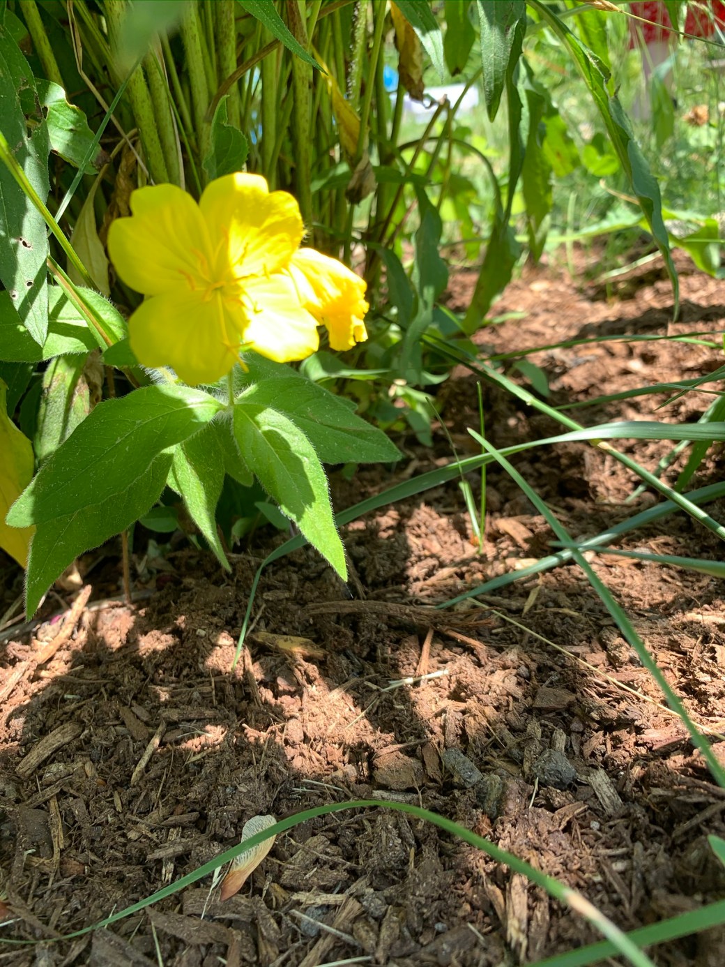 930384F2-9584-4517-8AEF-9393807C06A8