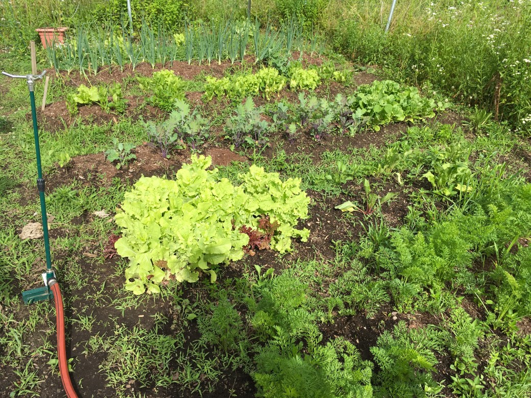 A6575161-1442-42E7-ACCD-F63E9B4A4C2C