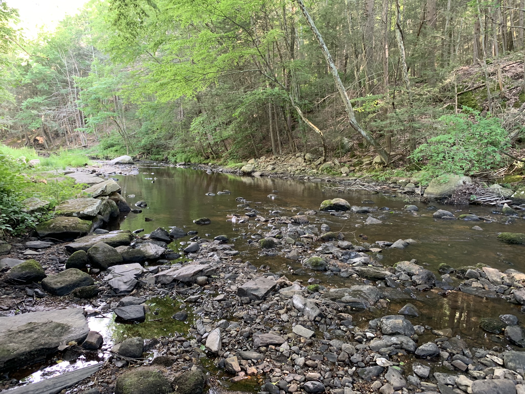 C2D01CB1-3B9E-4BF5-9D4D-5513E8891DC9