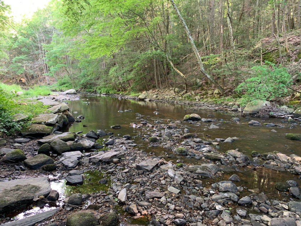 C2D01CB1-3B9E-4BF5-9D4D-5513E8891DC9