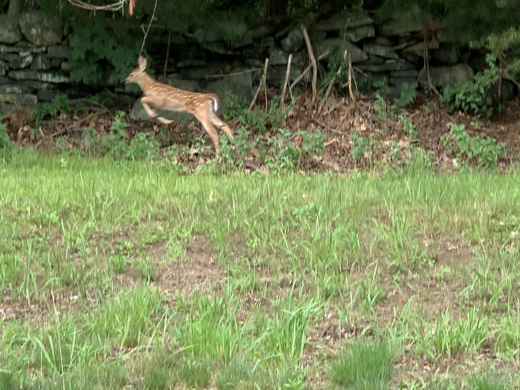 F6628E5B-9A8D-4314-BEA5-A0F1C0A40A10